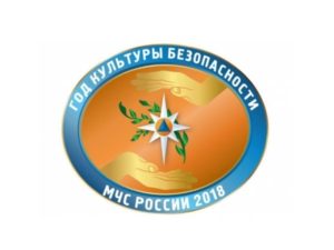 2018 год в МЧС России объявлен Годом культуры безопасности (февраль 2018)
